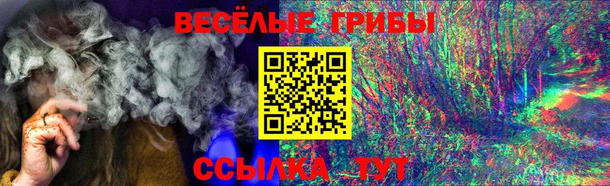 Псилоцибиновые грибы Psilocybine cubensis Сызрань