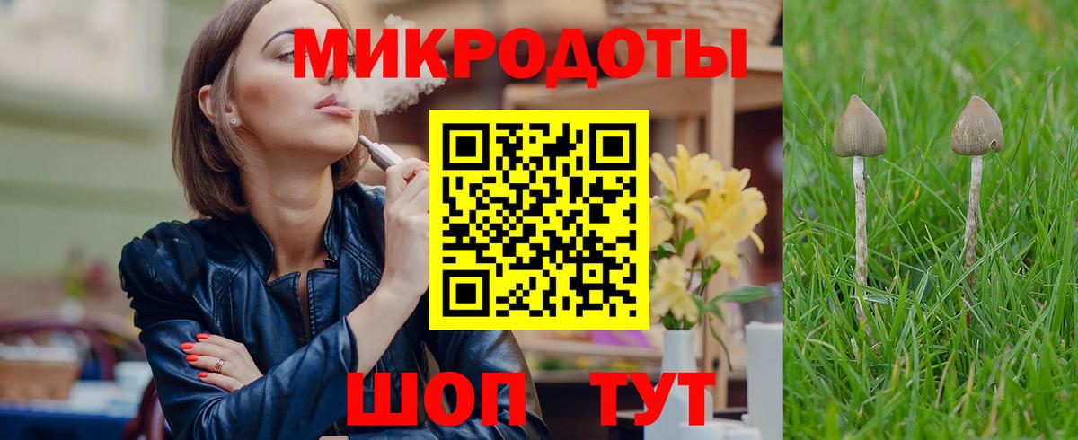 Сызрань  Псилоцибиновые грибы Cubensis  Вход с VPN 